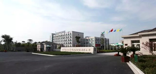 走進兔寶寶，了解“品字標”企業如何為高品質實力代言