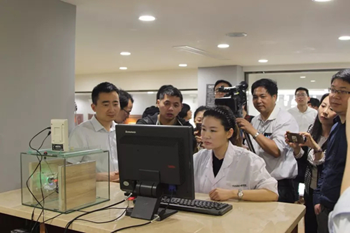 走進兔寶寶，了解“品字標”企業如何為高品質實力代言