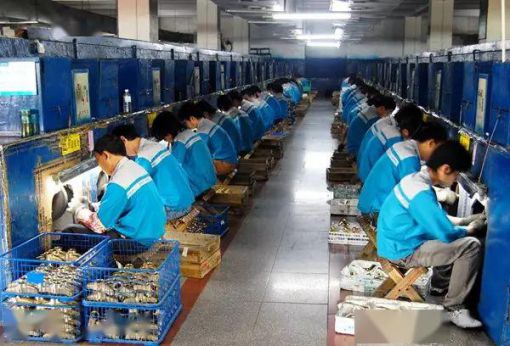 品牌招商|輝煌廚衛(wèi)7大優(yōu)勢(shì)，帶你快速掘金!