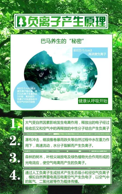 品牌產品|雪寶森林有氧板，有效釋放負氧離子長達15年