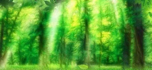 品牌產品|雪寶森林有氧板，有效釋放負氧離子長達15年