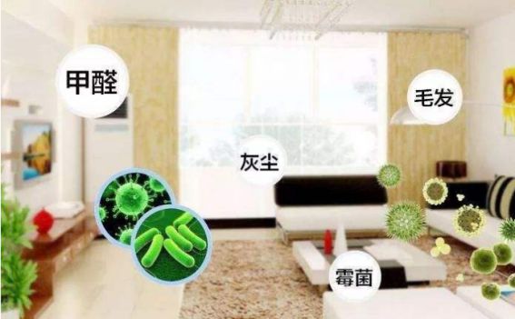 德國(guó)精工·諾森柏格是一個(gè)專注、專業(yè)的家用空氣凈化器品牌