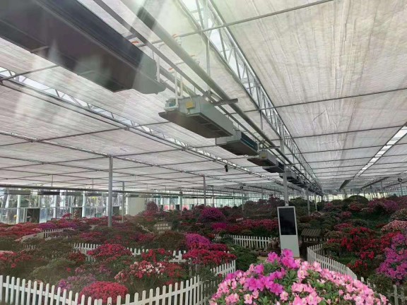 岳西大觀園12000㎡花卉大棚采用格美粵空氣源熱泵，三年無故障運行